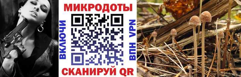 Галлюциногенные грибы прущие грибы Бикин